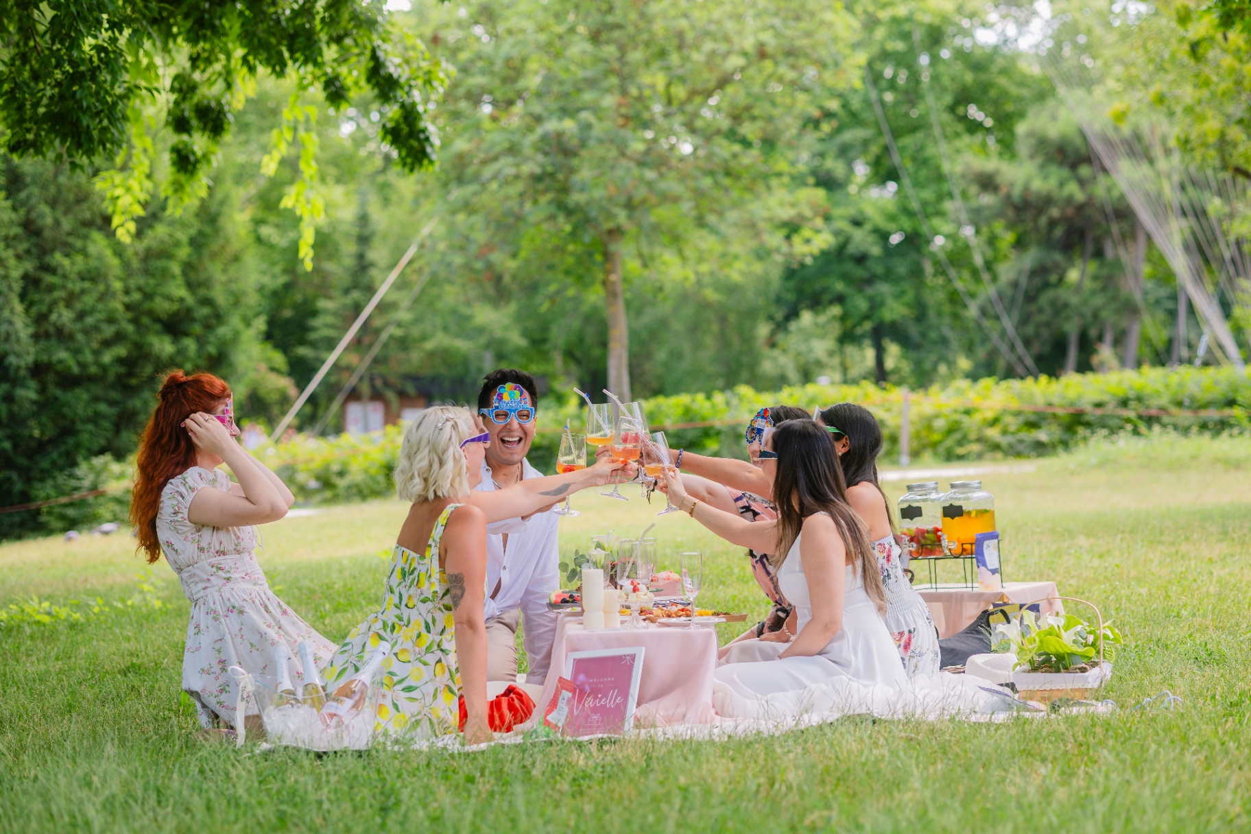 Luxury picnic in a Budapest park